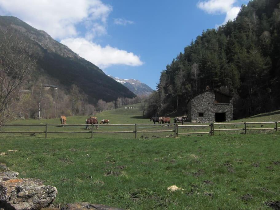 Apartament Gran Pirineu Montferrer Exterior foto